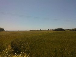 Plot for Sale - Lahania South Rhodes